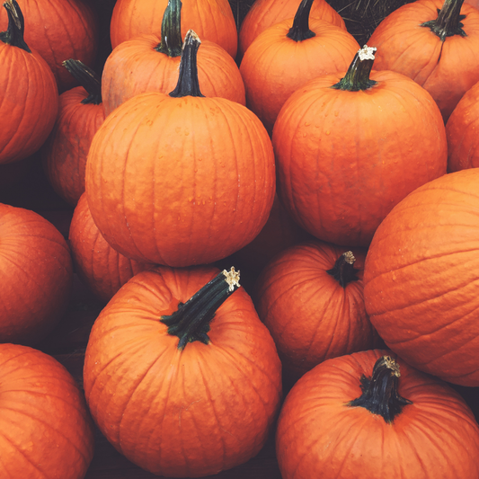 Pumpkin Perfect Package #1