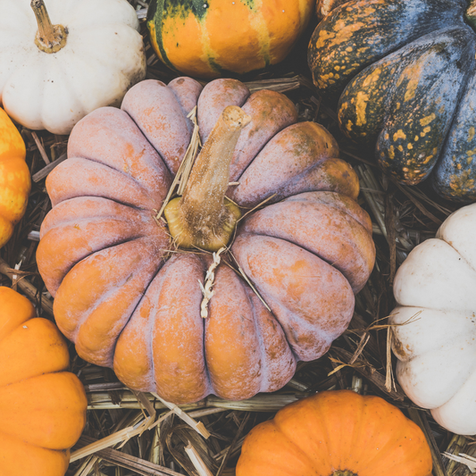 Pumpkin Perfect Package #2