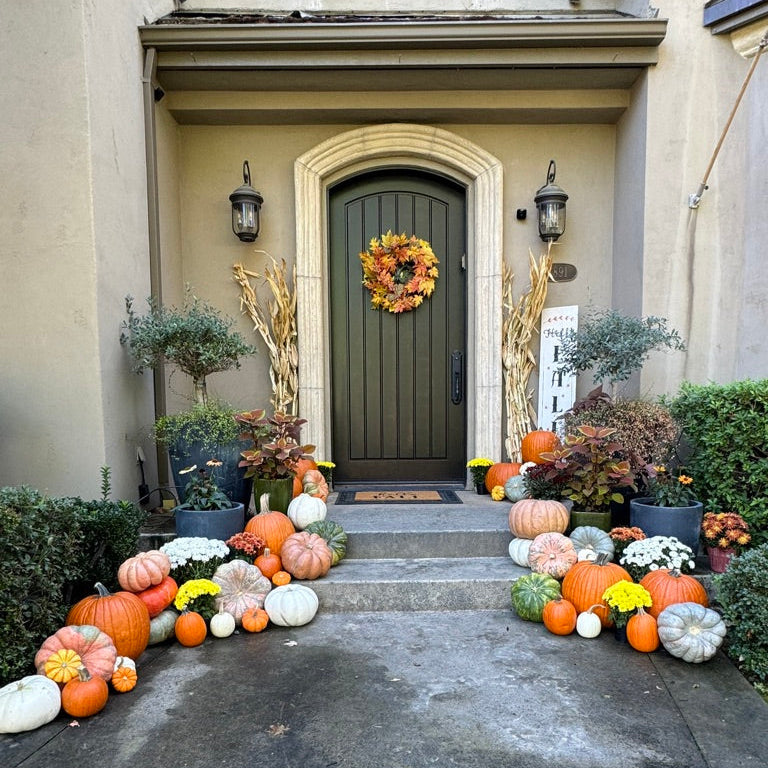 Pumpkin Perfect Package #1