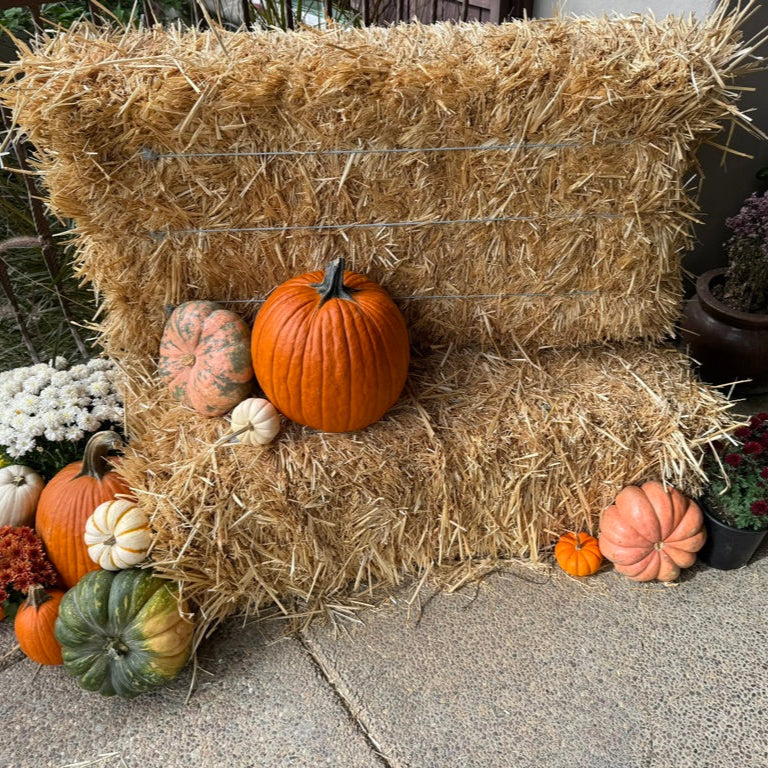Hay Bale