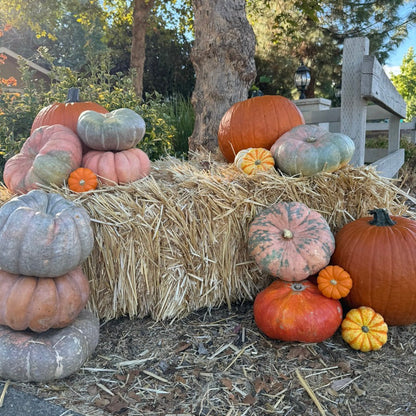 Hay Bale